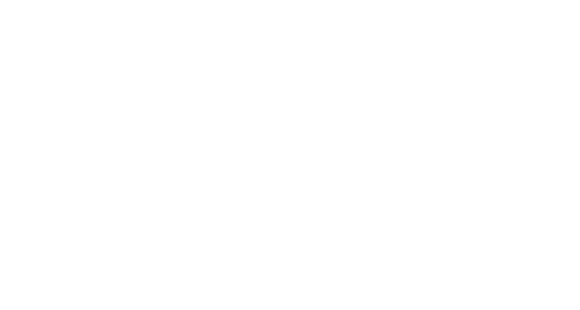 Human in the Loop